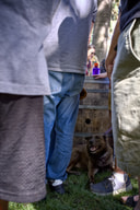 A group of people gather around a wooden barrel on a grassy lawn, a brown dog seated in the grass before them.
